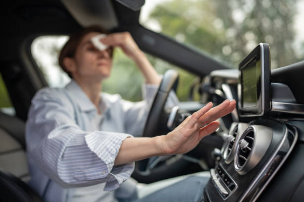 Best Thermostats and Smart Controls in Sa Loma, CA